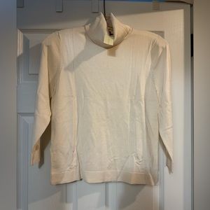 Ann Taylor Turtleneck
